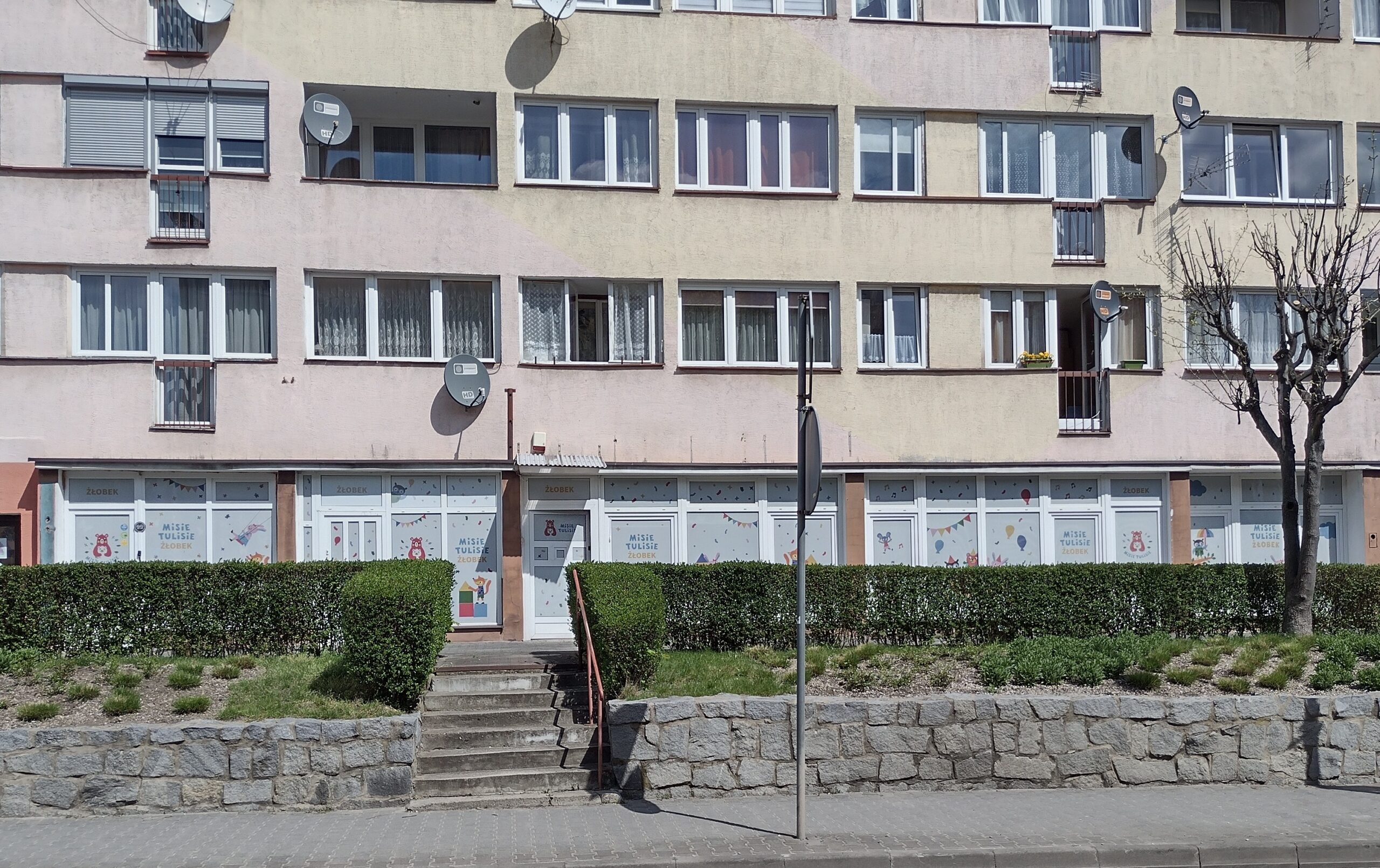 Wołów 2